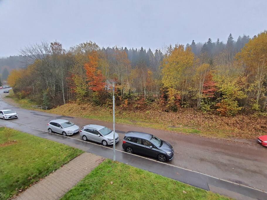 Two-Bedroom Apartment Near Triberg Waterfall Триберг Экстерьер фото