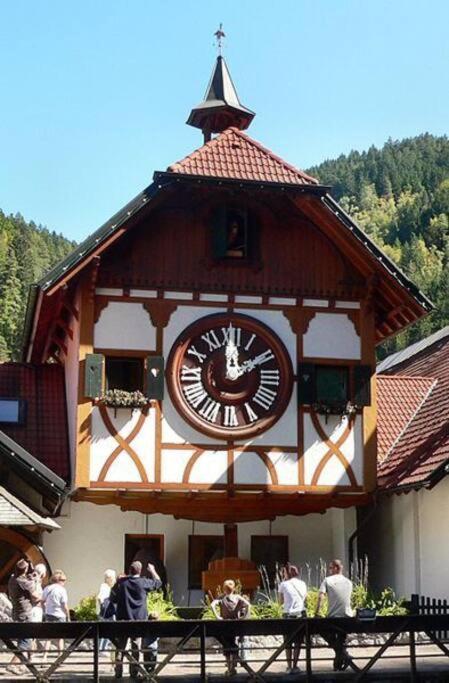 Two-Bedroom Apartment Near Triberg Waterfall Триберг Экстерьер фото