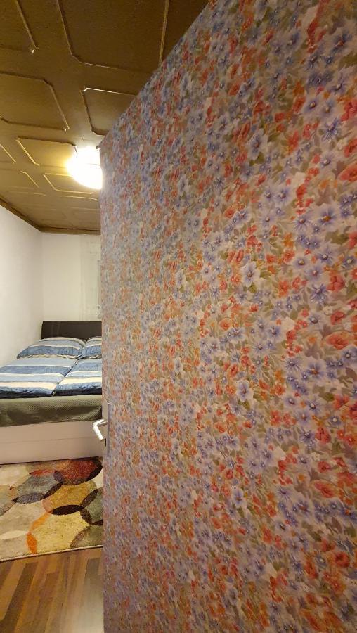 Two-Bedroom Apartment Near Triberg Waterfall Триберг Экстерьер фото